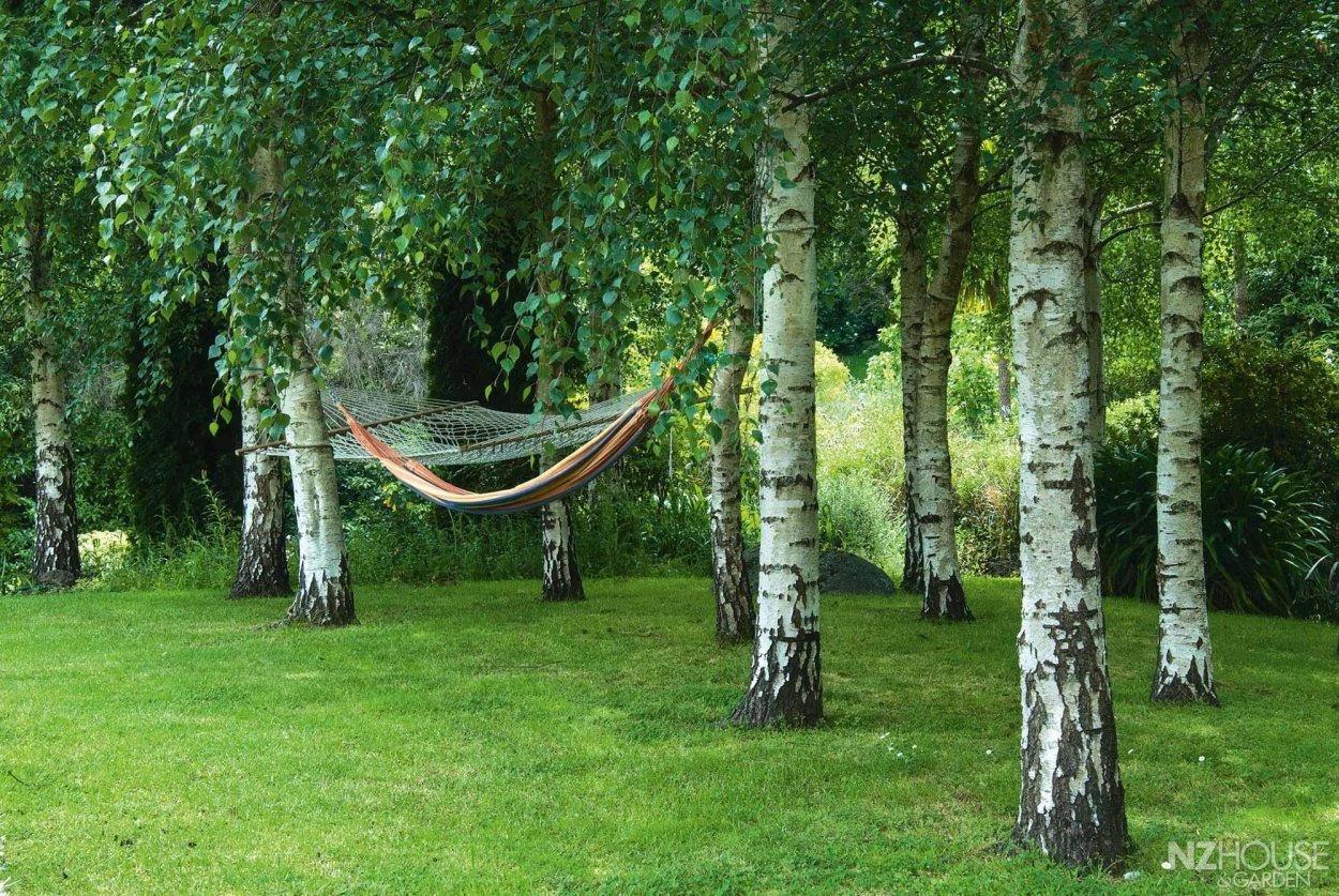 Сад Берёзовая роща