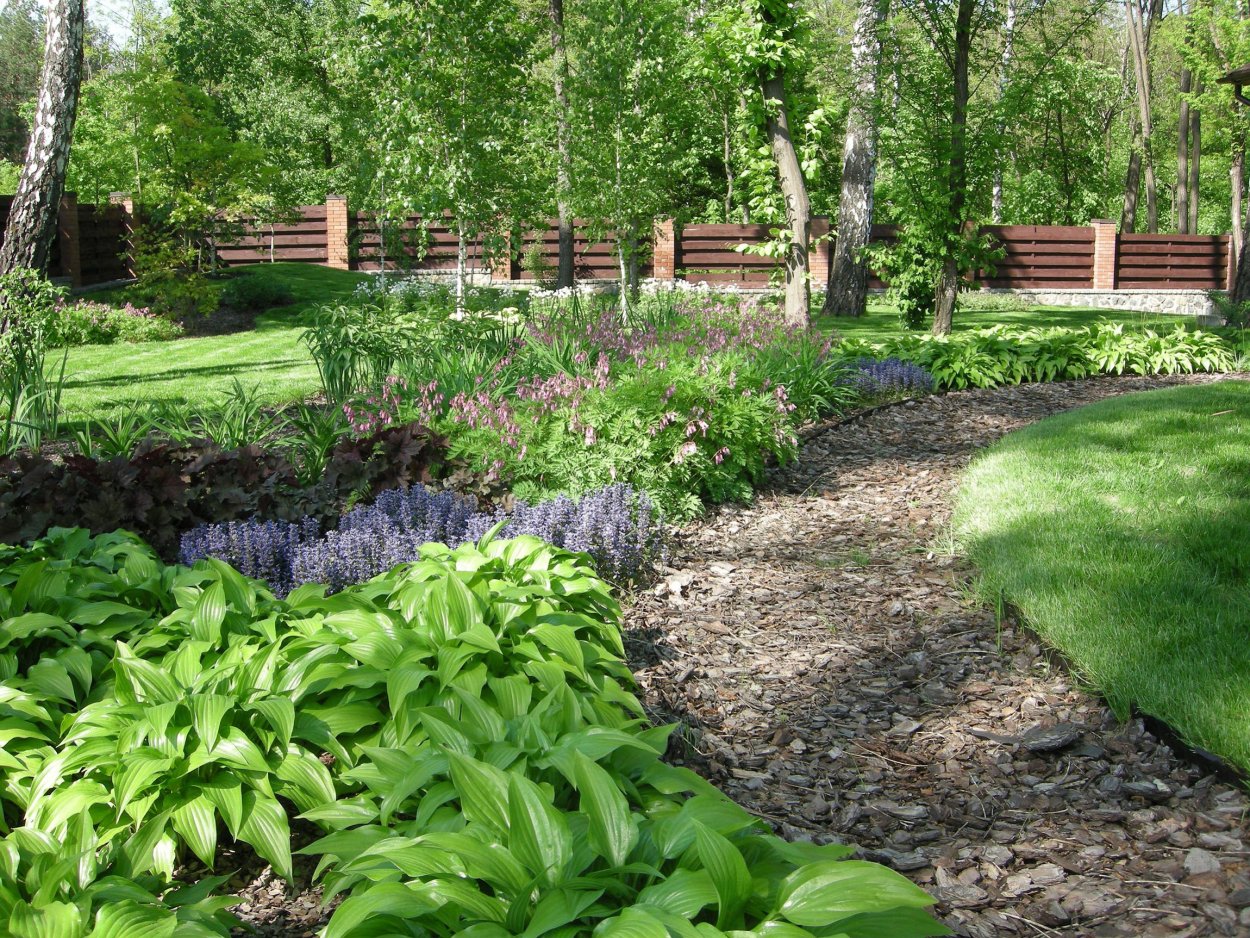 Участок с березовой рощей ландшафт