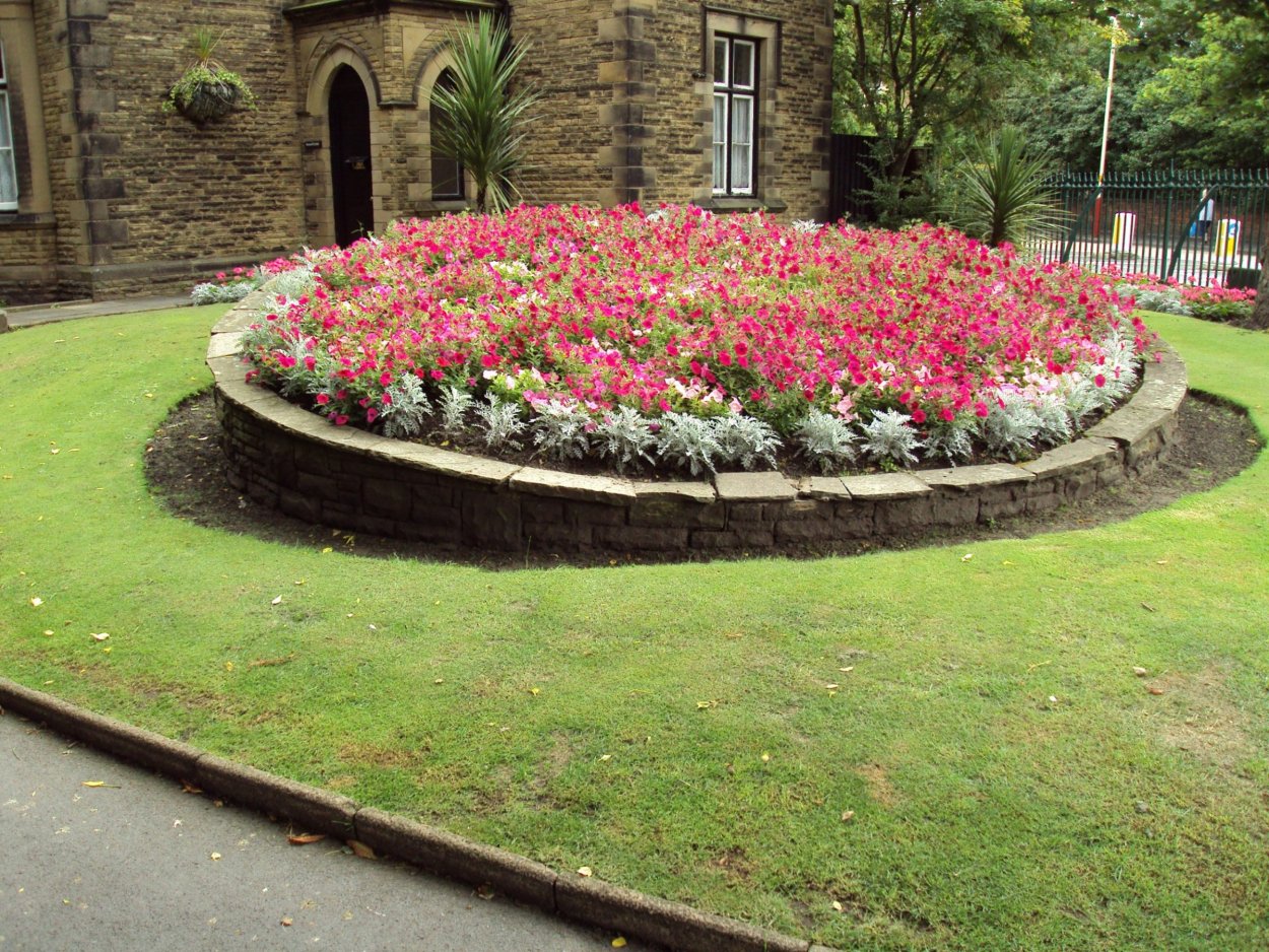 Моноклумба клумба