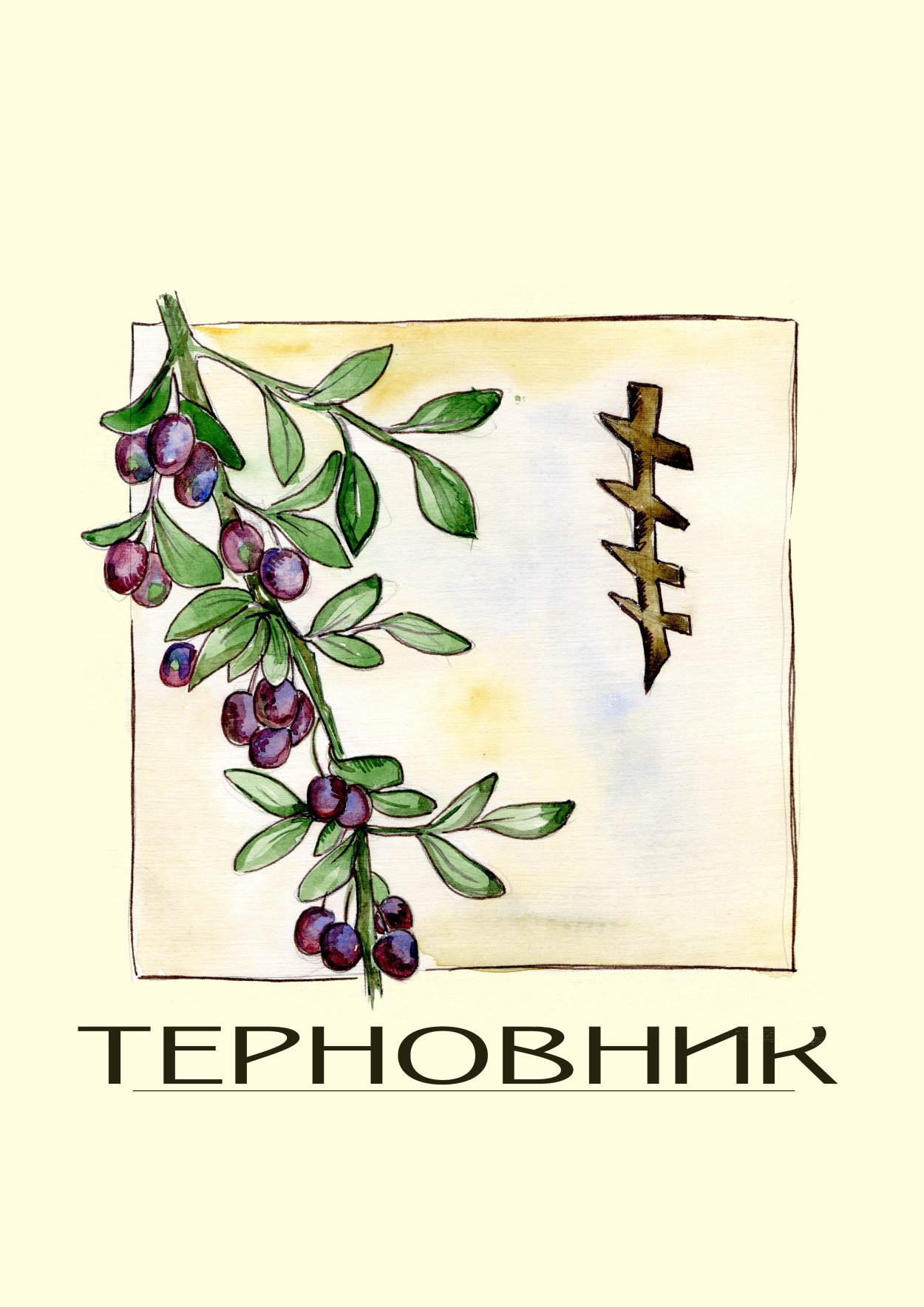 Терн Крымский