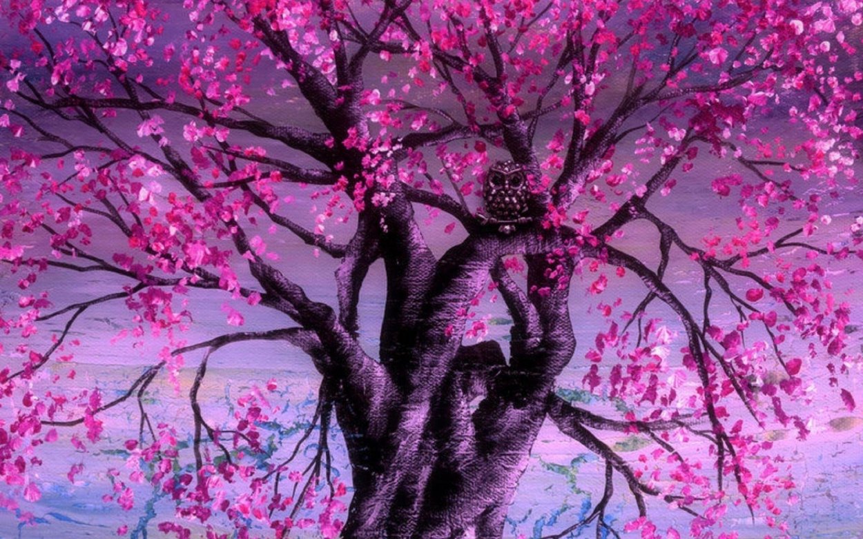 Яблоня Пинк цветение