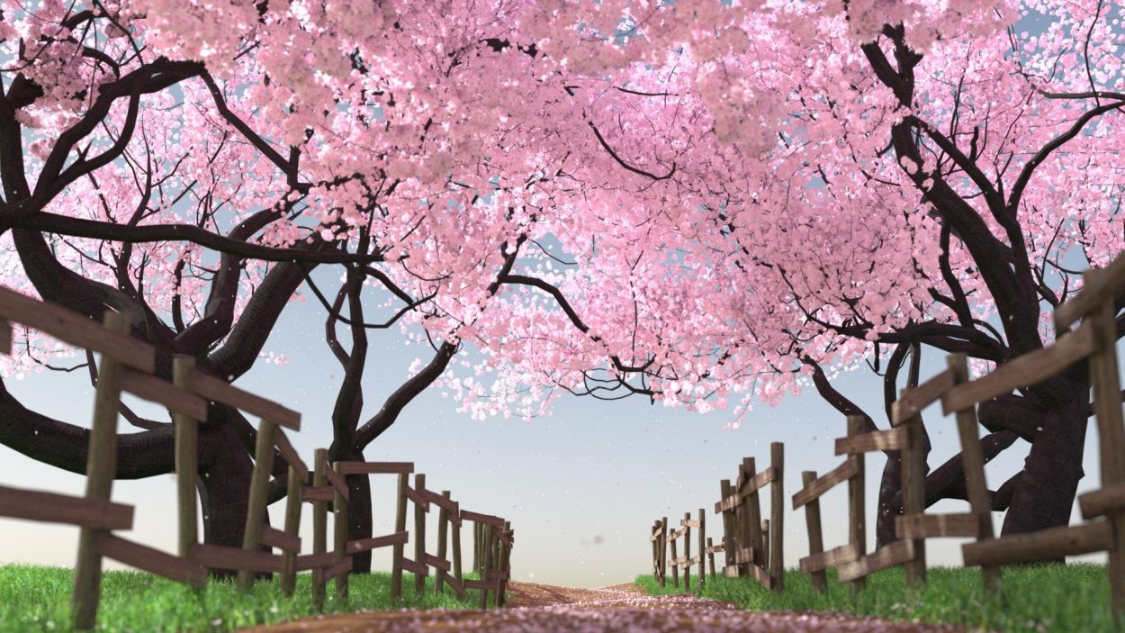 Красивые цветущие деревья