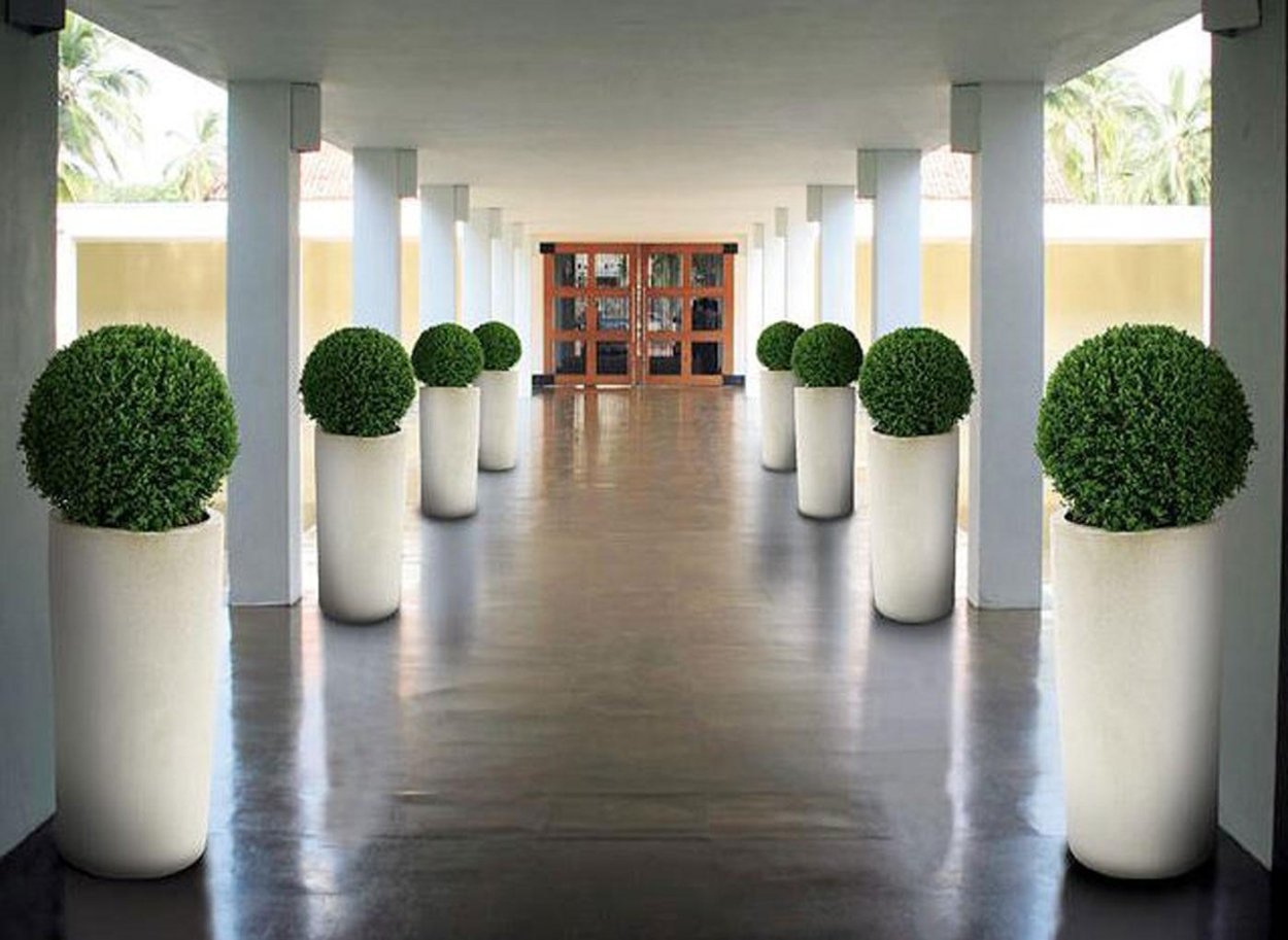 Искусственный шар самшит 40см.