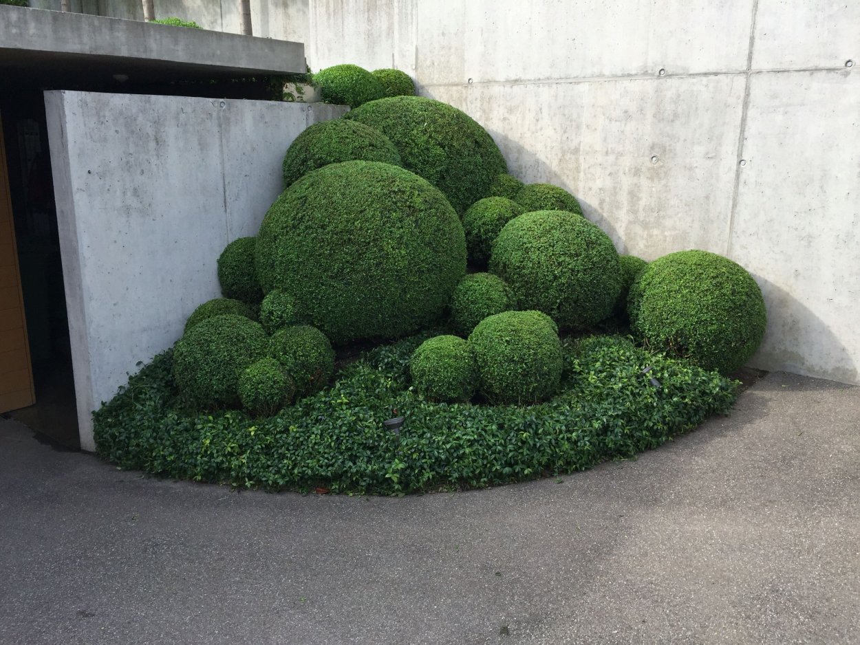 Топиарная арка