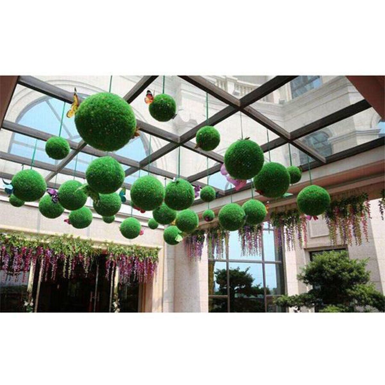 Декоративные растения вид сверху