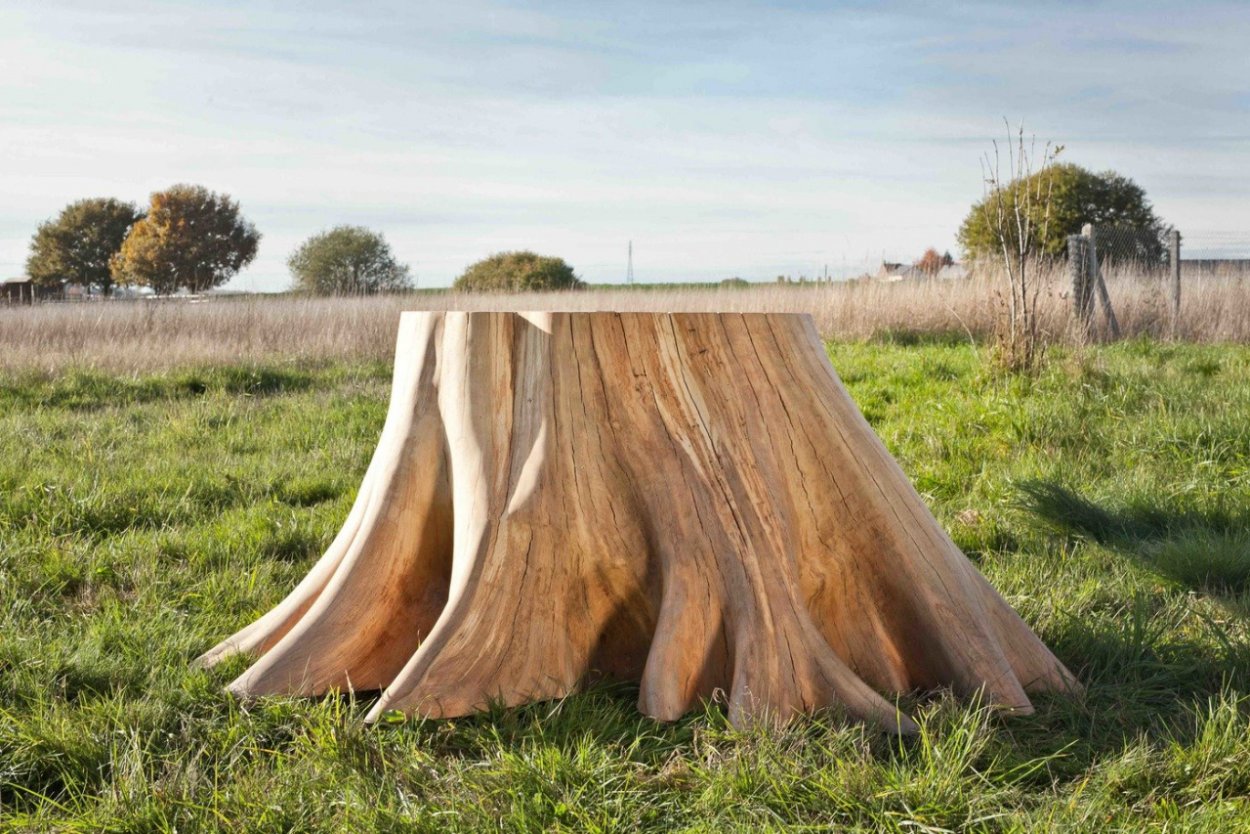 Огромный пенек