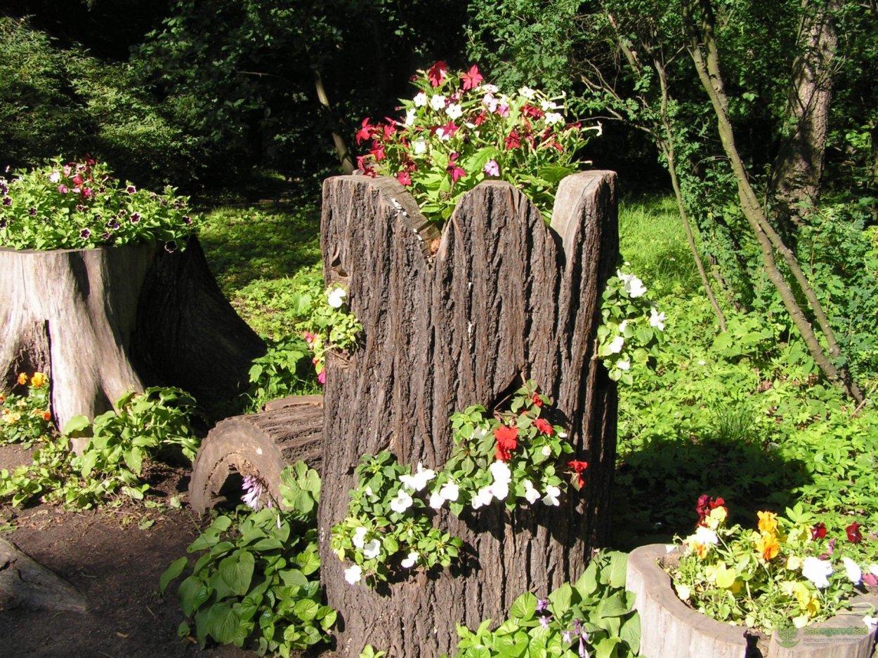 Изделия из бревна