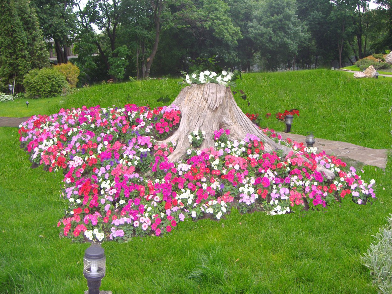 Клумба рутарий