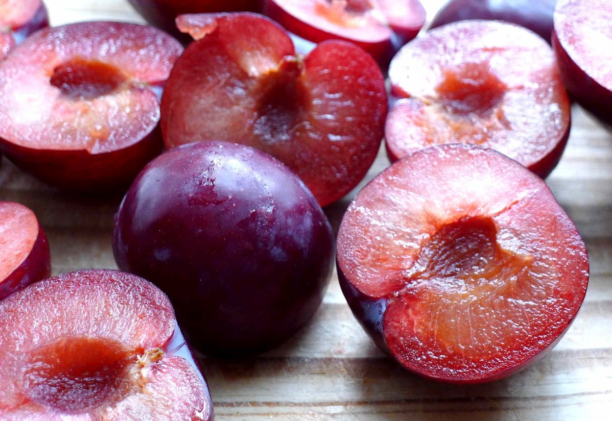 Алыча Комета саженец