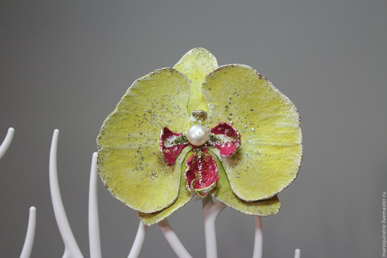 Орхидные растения на Сахалине