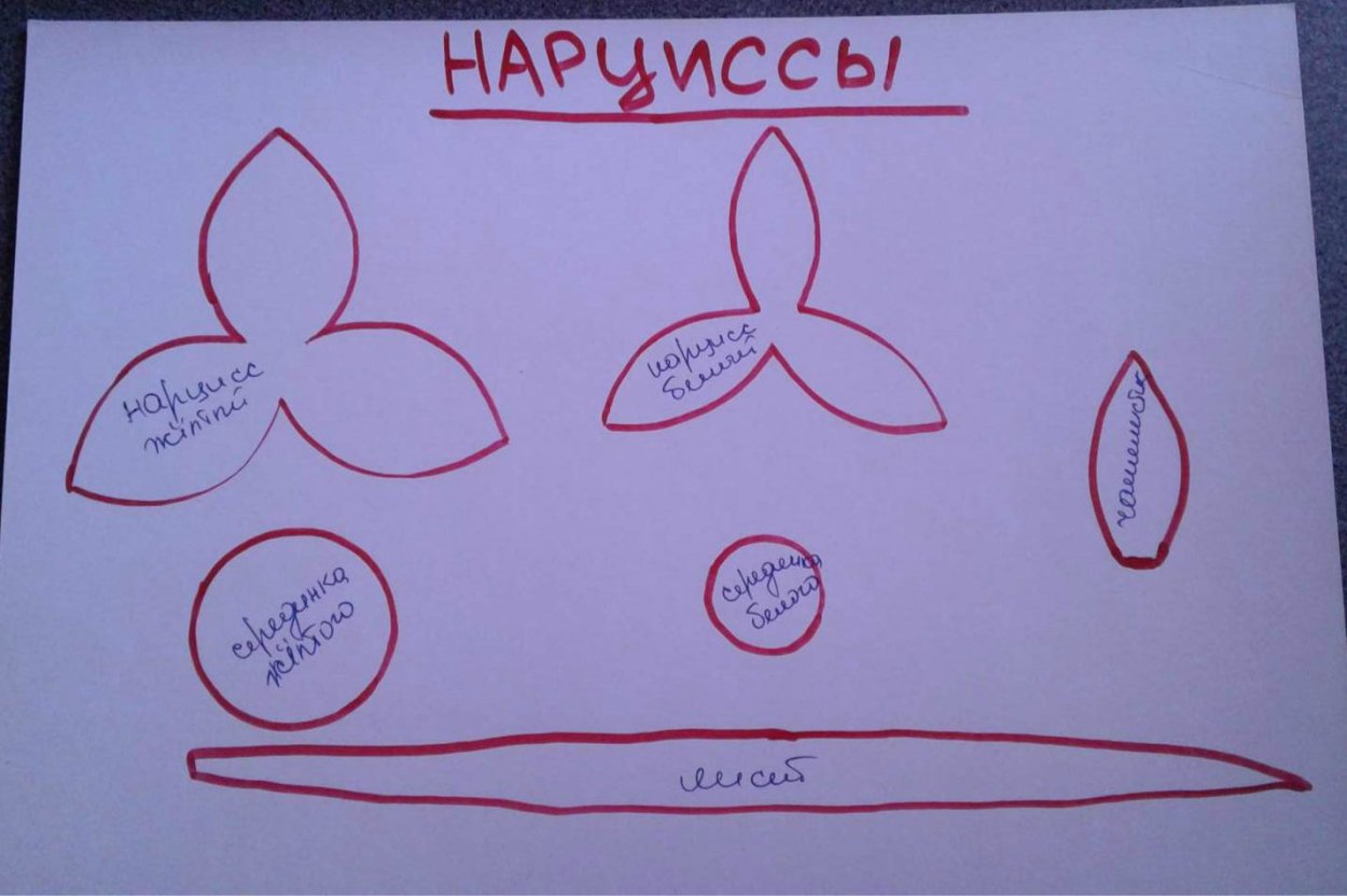 Орхидея выкройка цветка