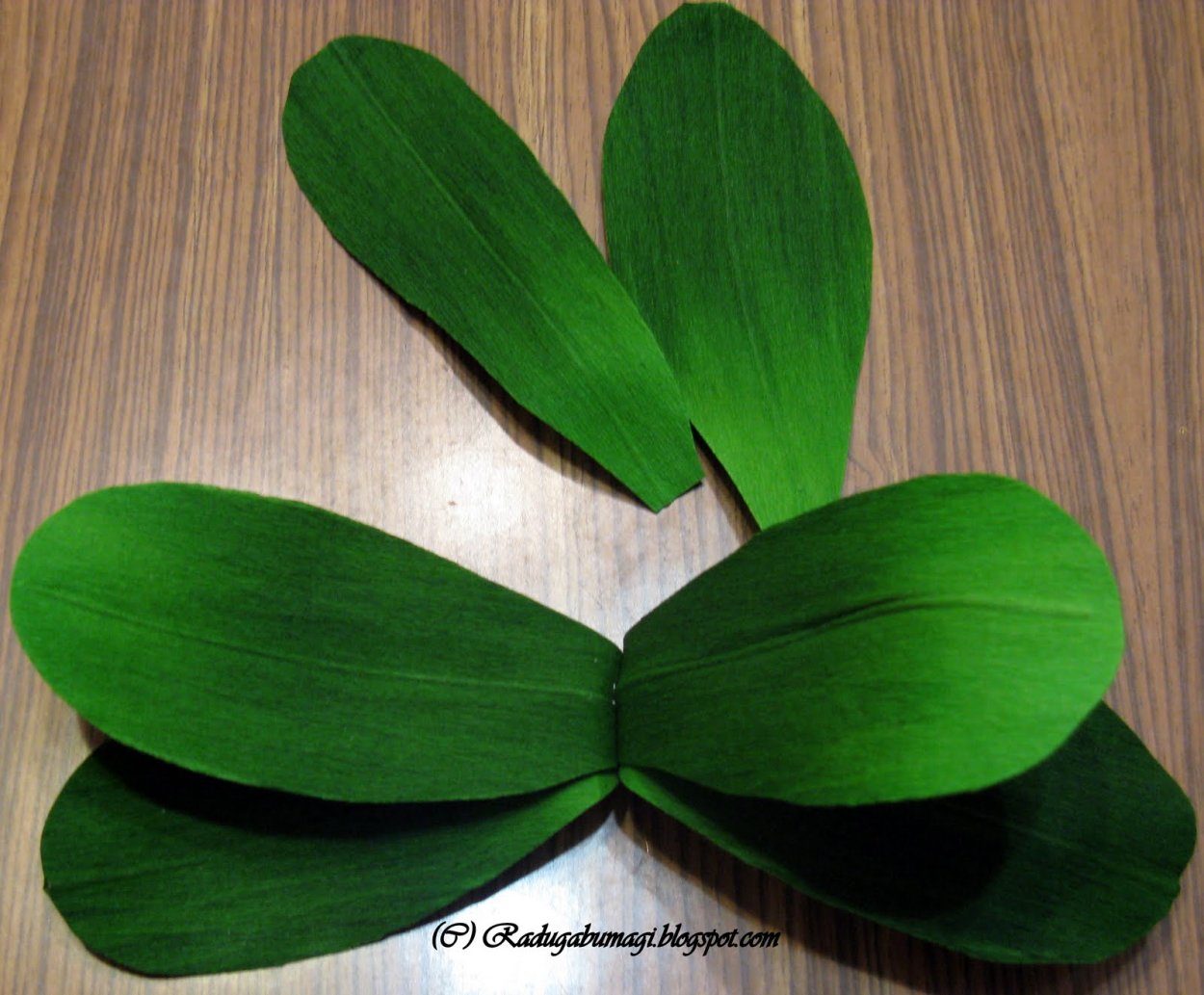 Гнилые корни у орхидеи