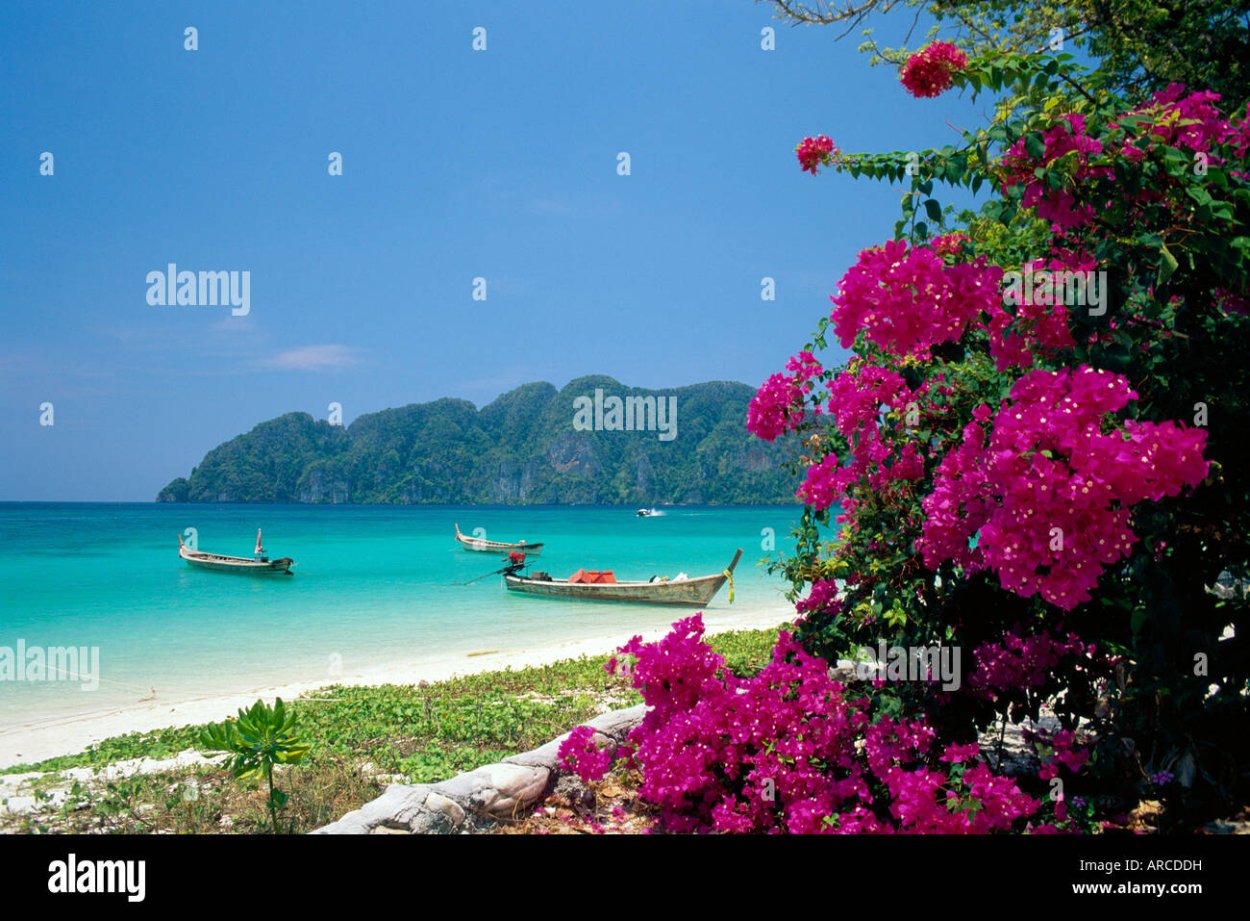 Тайланд цветы и море