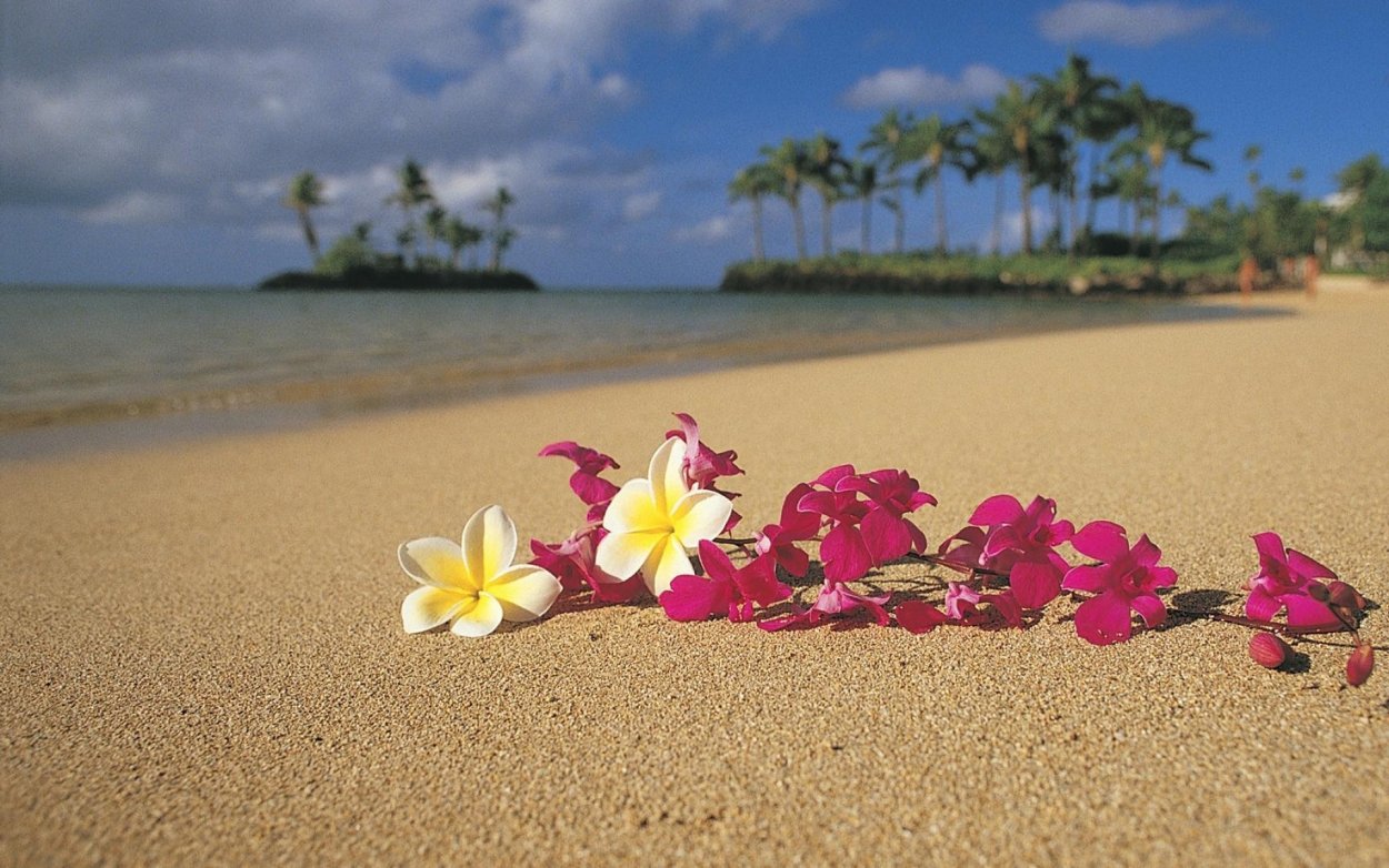 Лето море солнце пляж