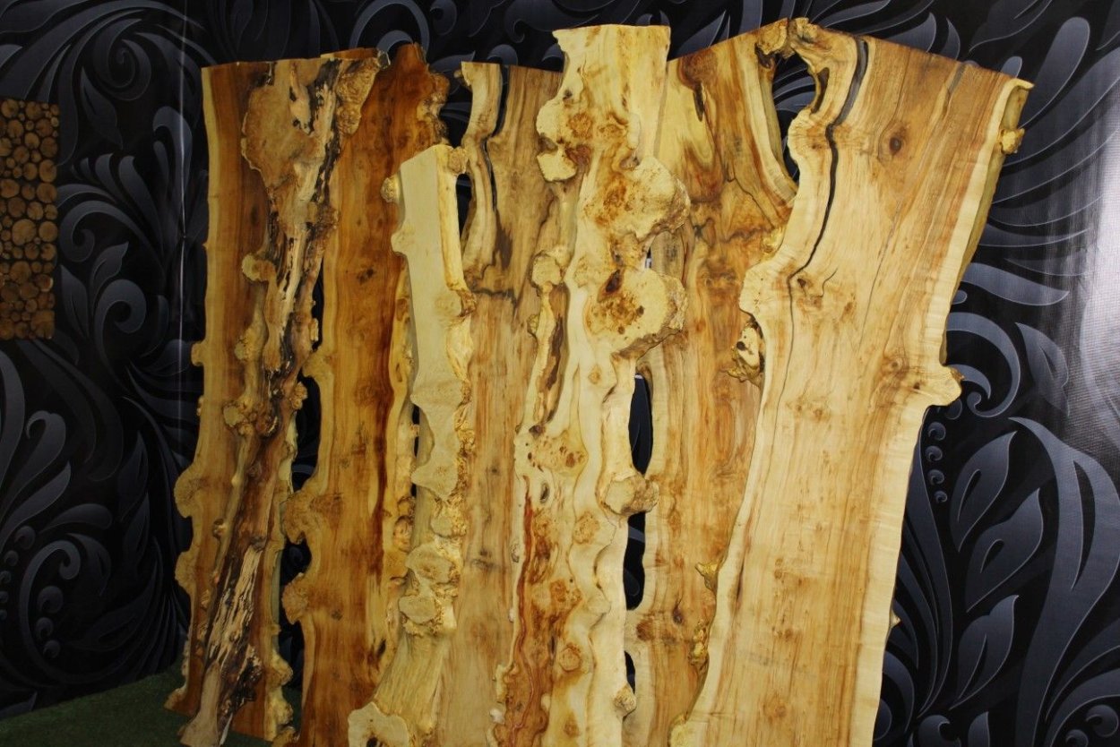 Каповый клен спил