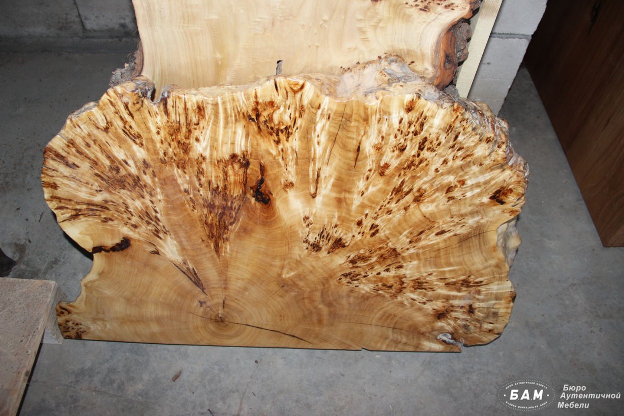 Каповый дуб