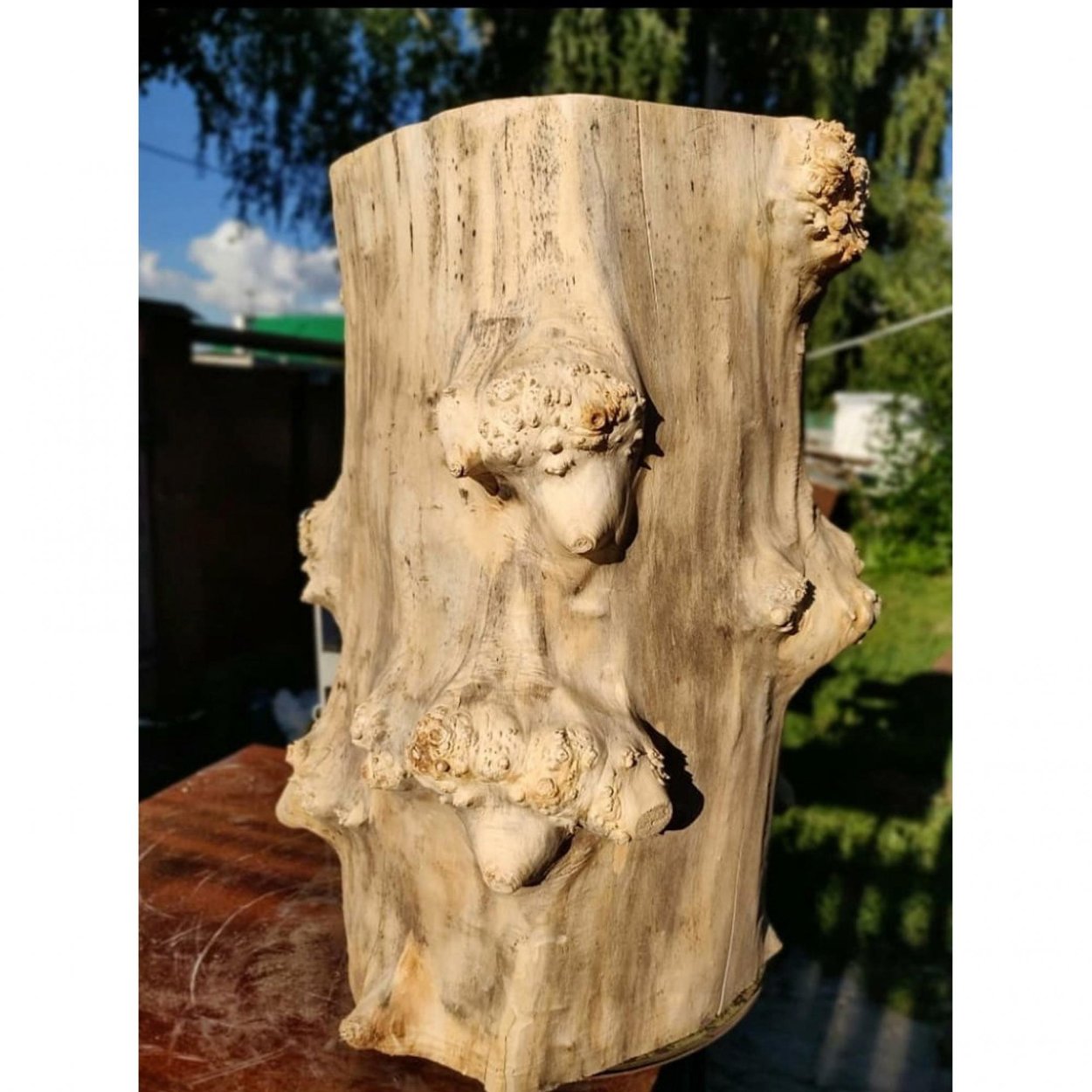 Пень интерьерный