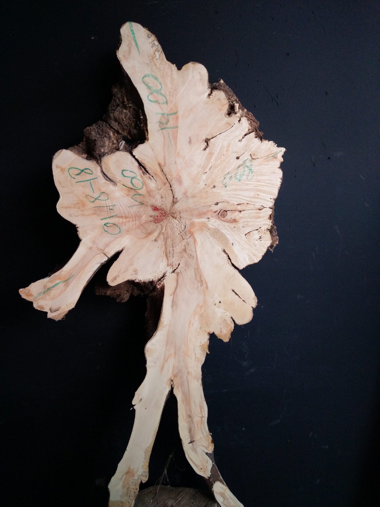 Слэб дерева