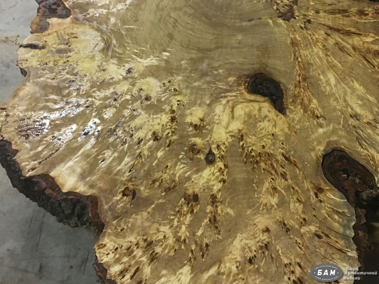 Каповый клён