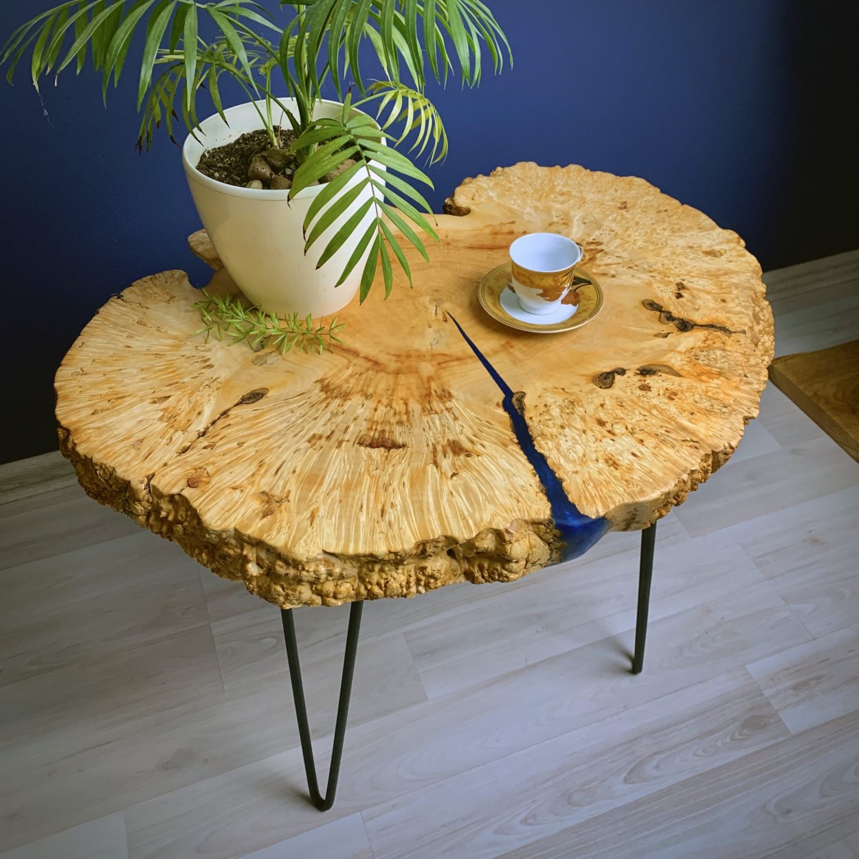 Каповый клен