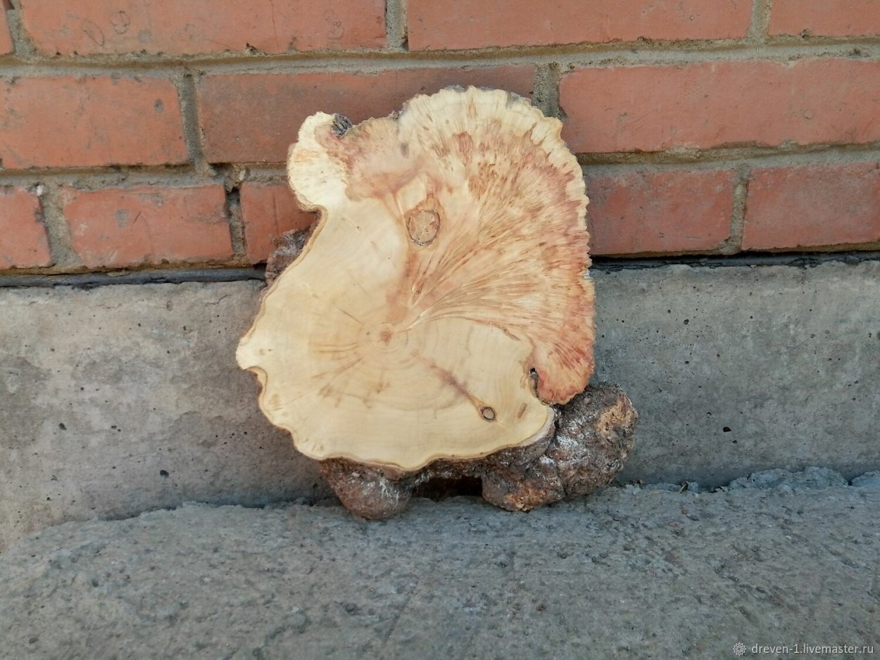 Термированный ясень слэб