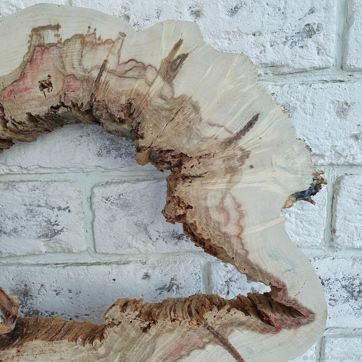 Фотосессия со спиленными деревьями