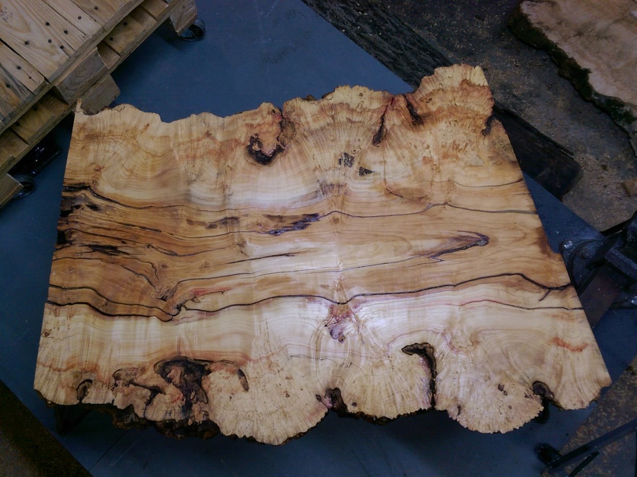 Березовый нарост сувель