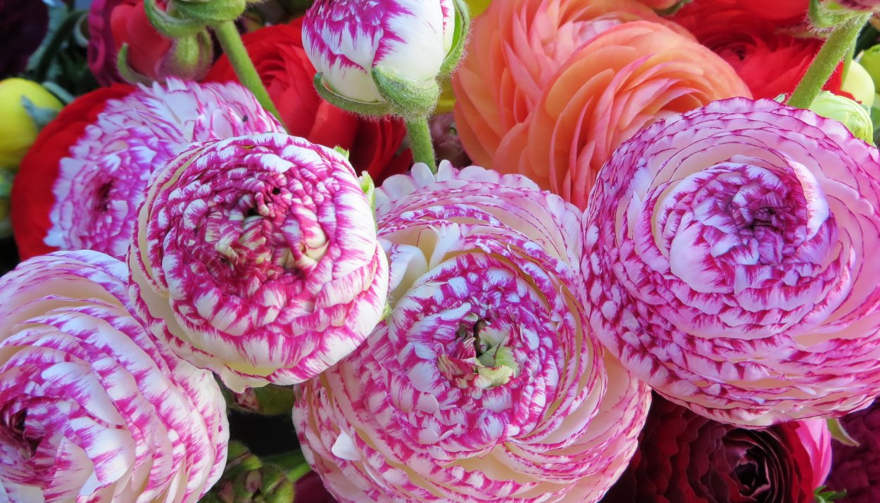 Фантазийные цветы