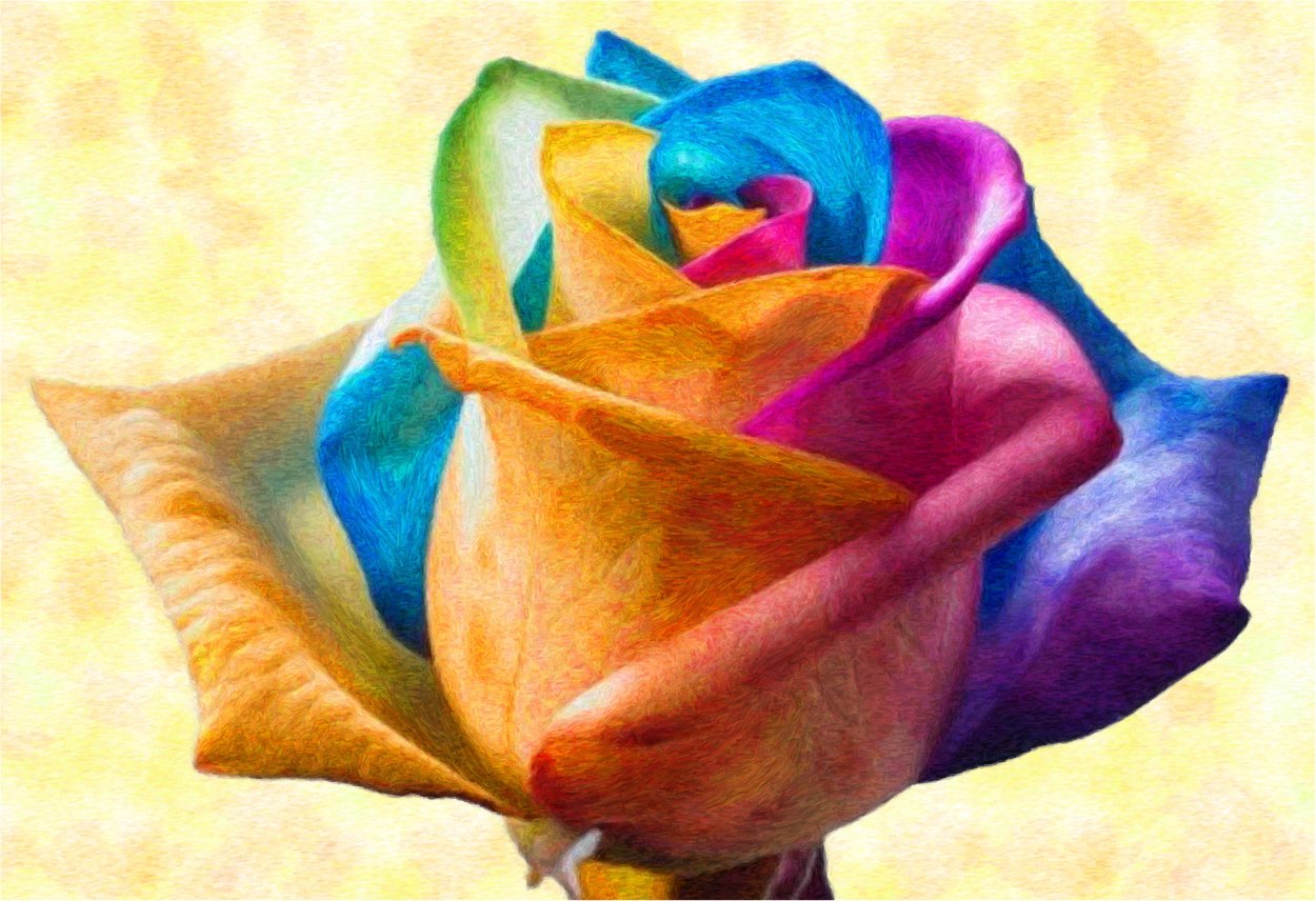 Цветы каллы в калифорнийской долине Calla Lily Valley