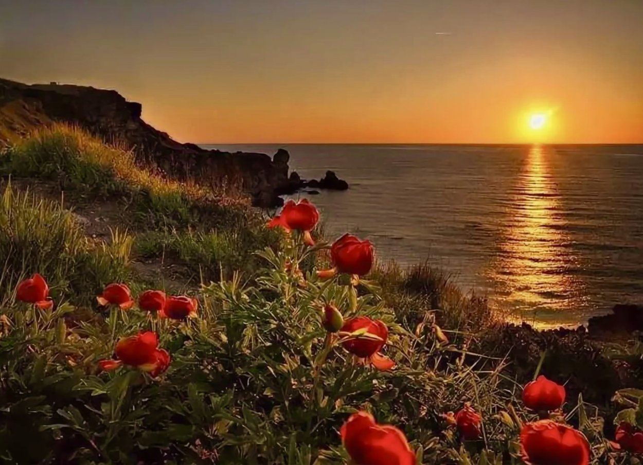 Пейзаж закат