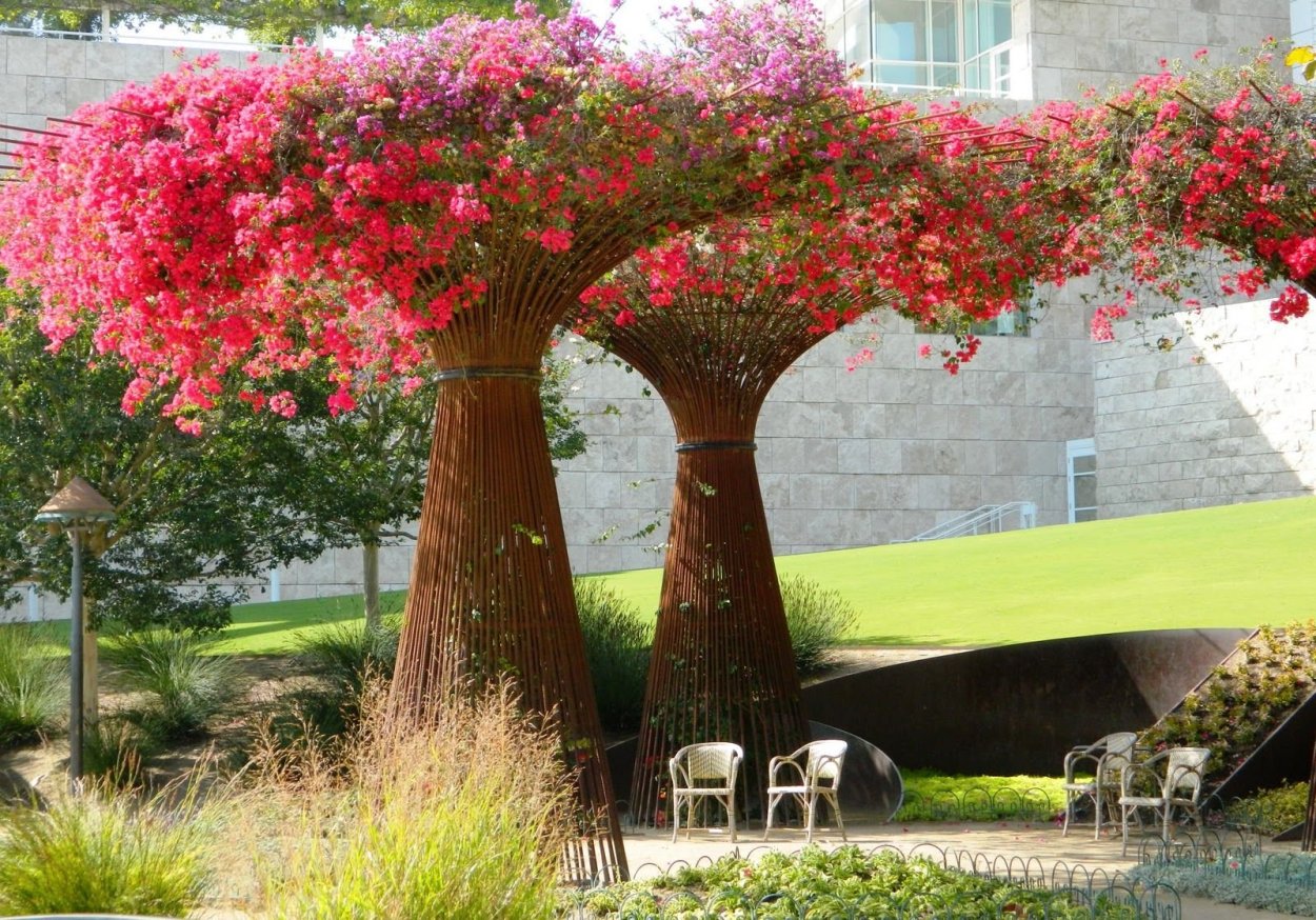 Композиции с лиственницей Пендула