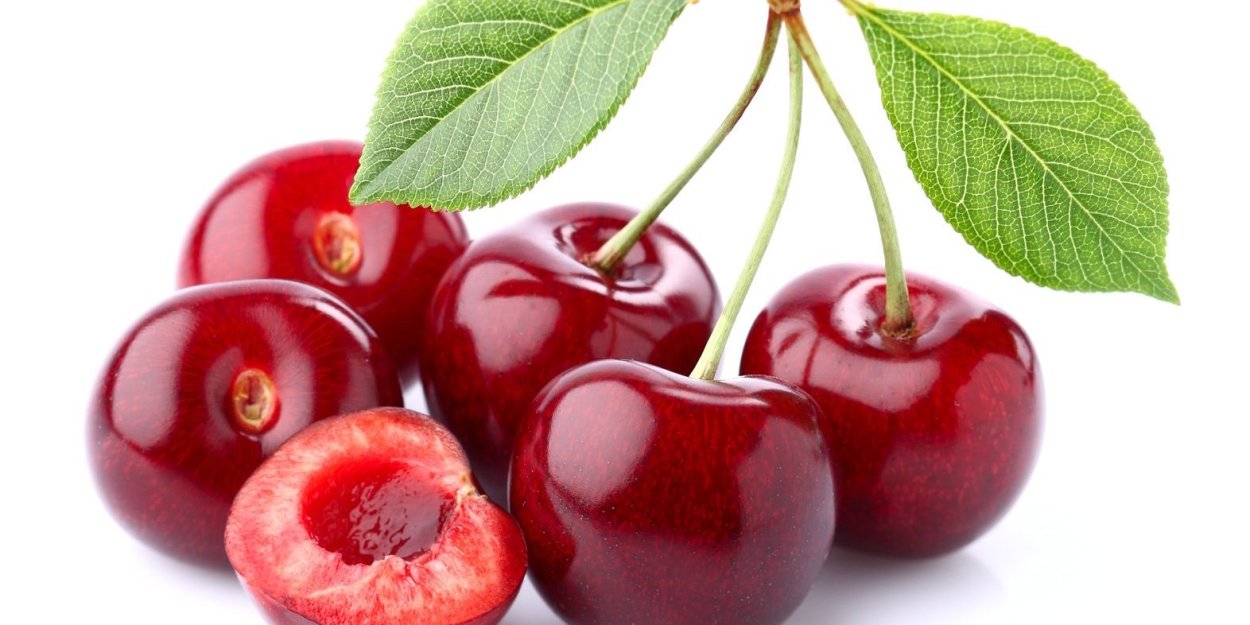 Дерево Буш красный