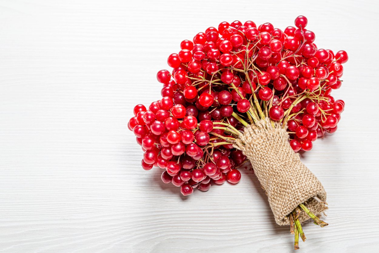 Мальпигия ягода