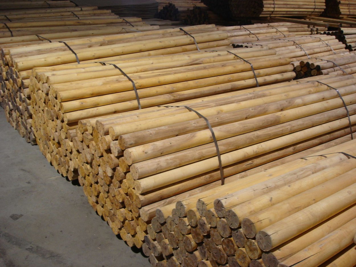 Береза тонкомер бревно 100 мм