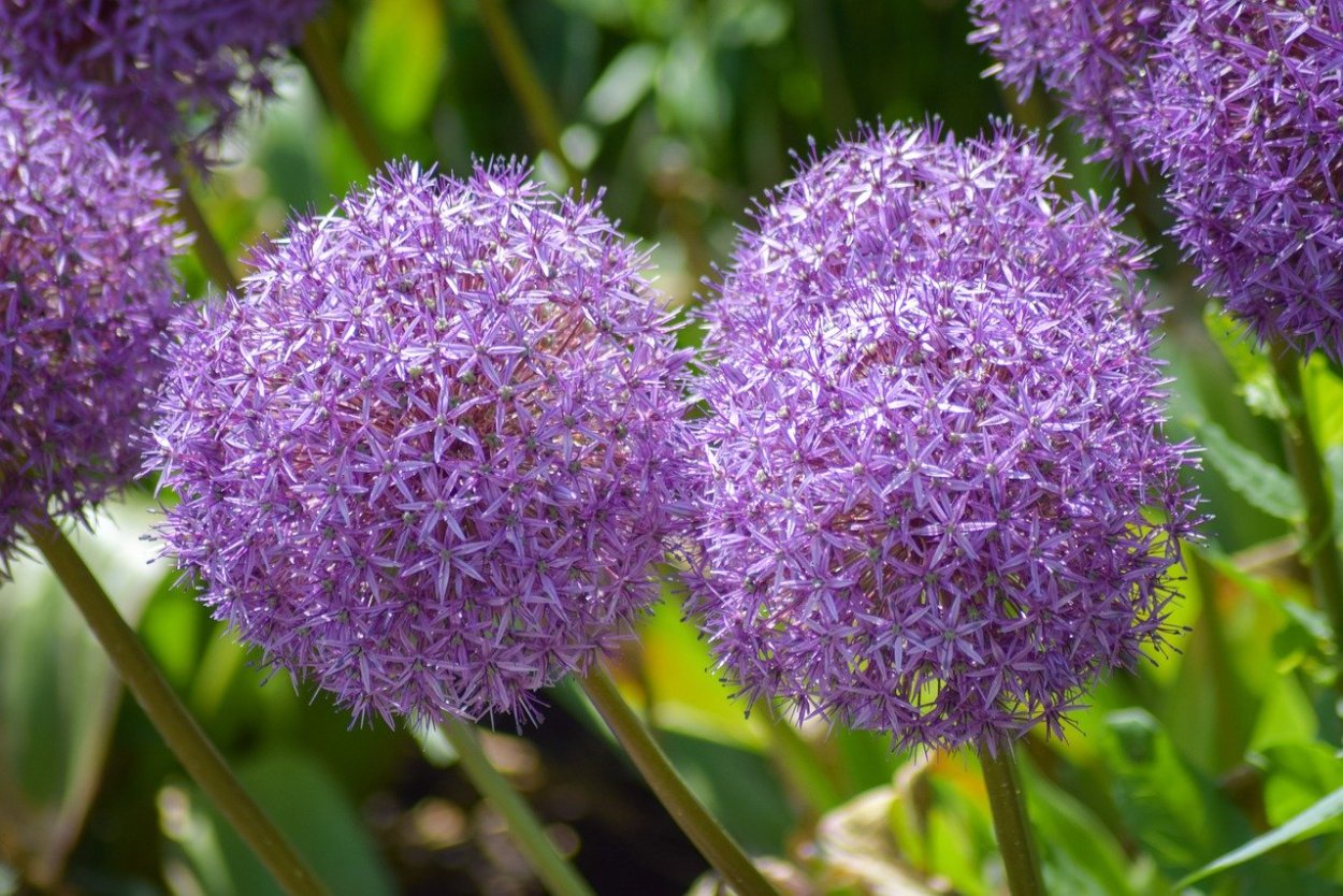 Шар стеклянный