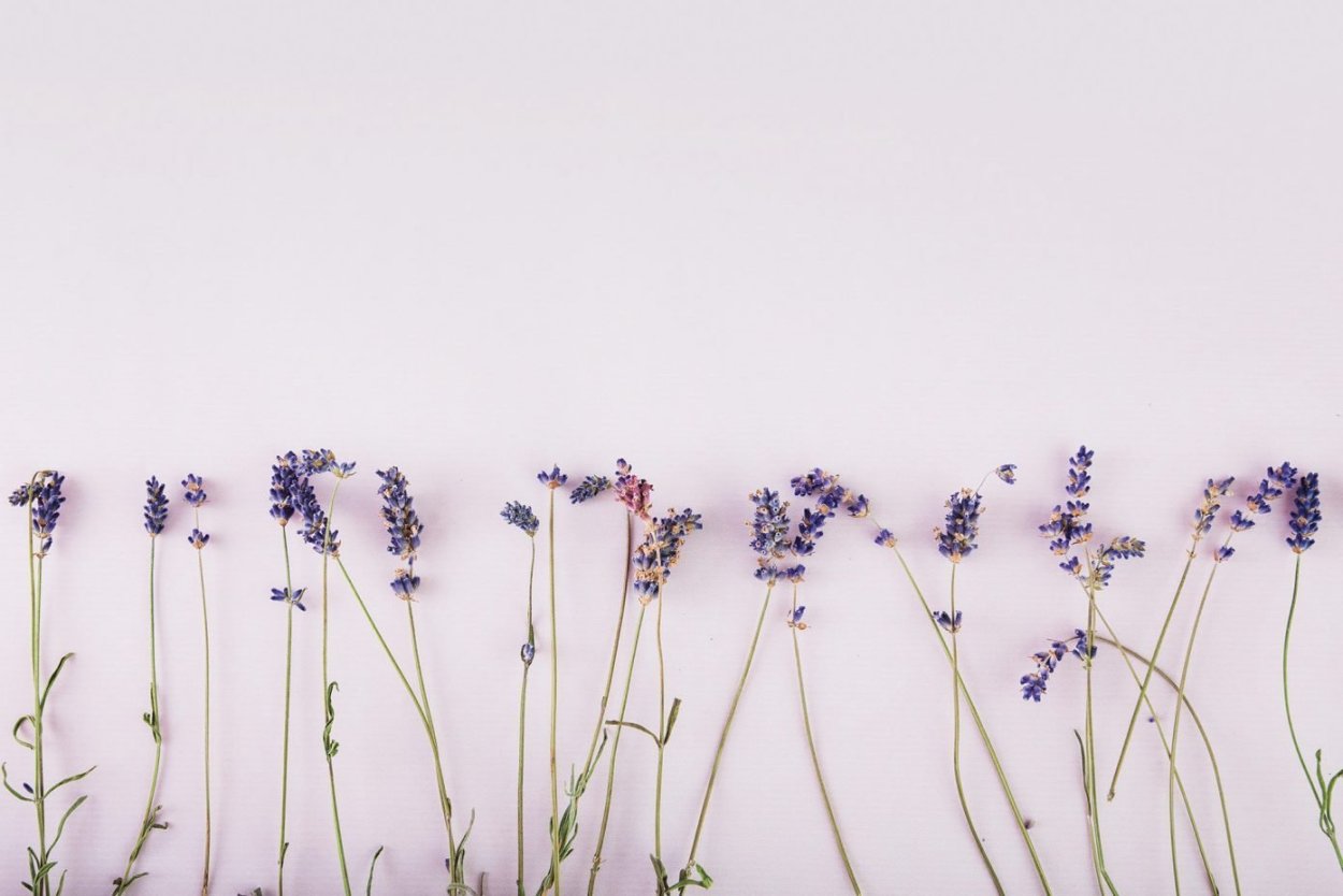 Полевой букет