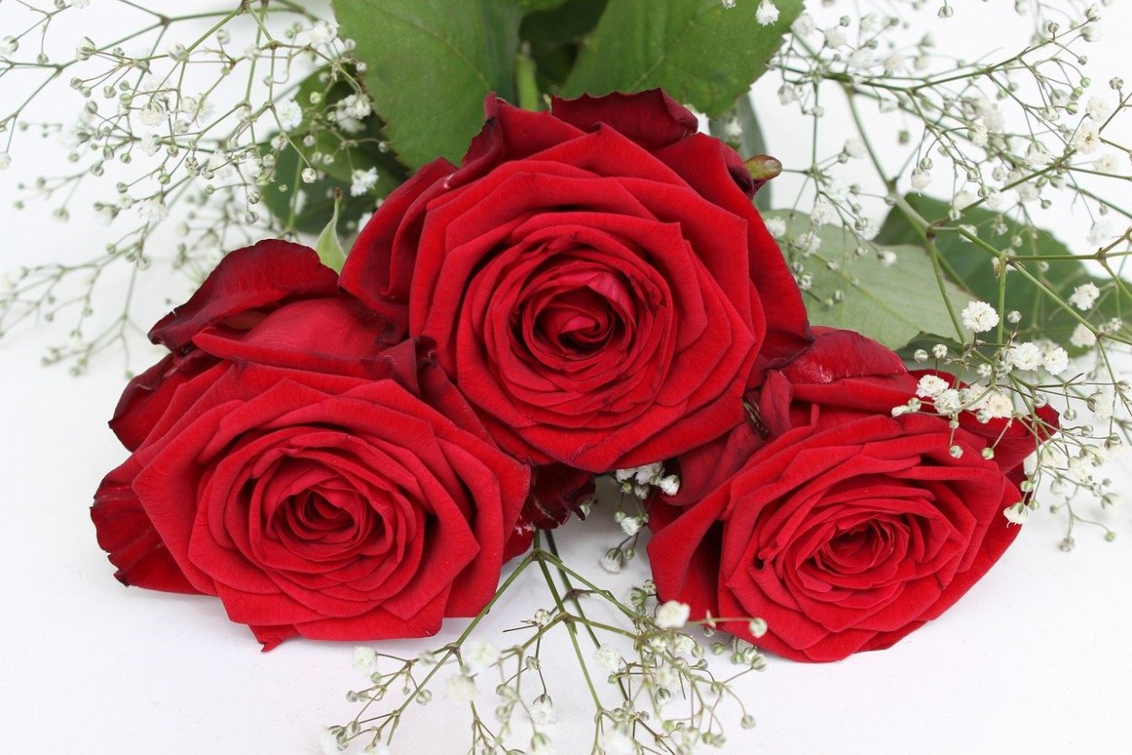 Красивые цветочки