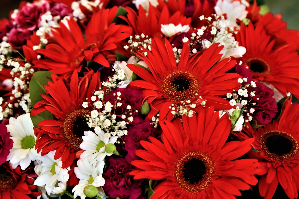 Красные цветы букет