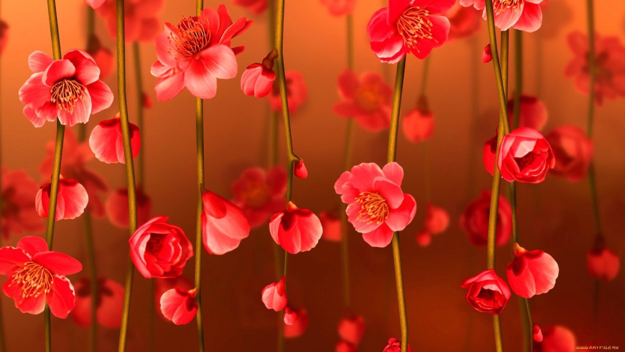 Мелкие красные цветочки