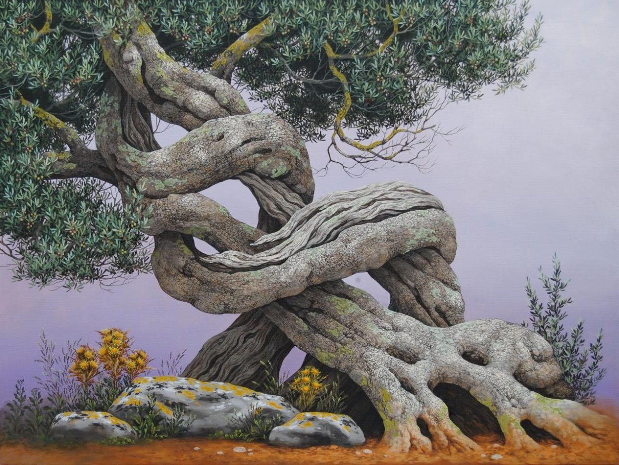 Перекрученный ствол дерева