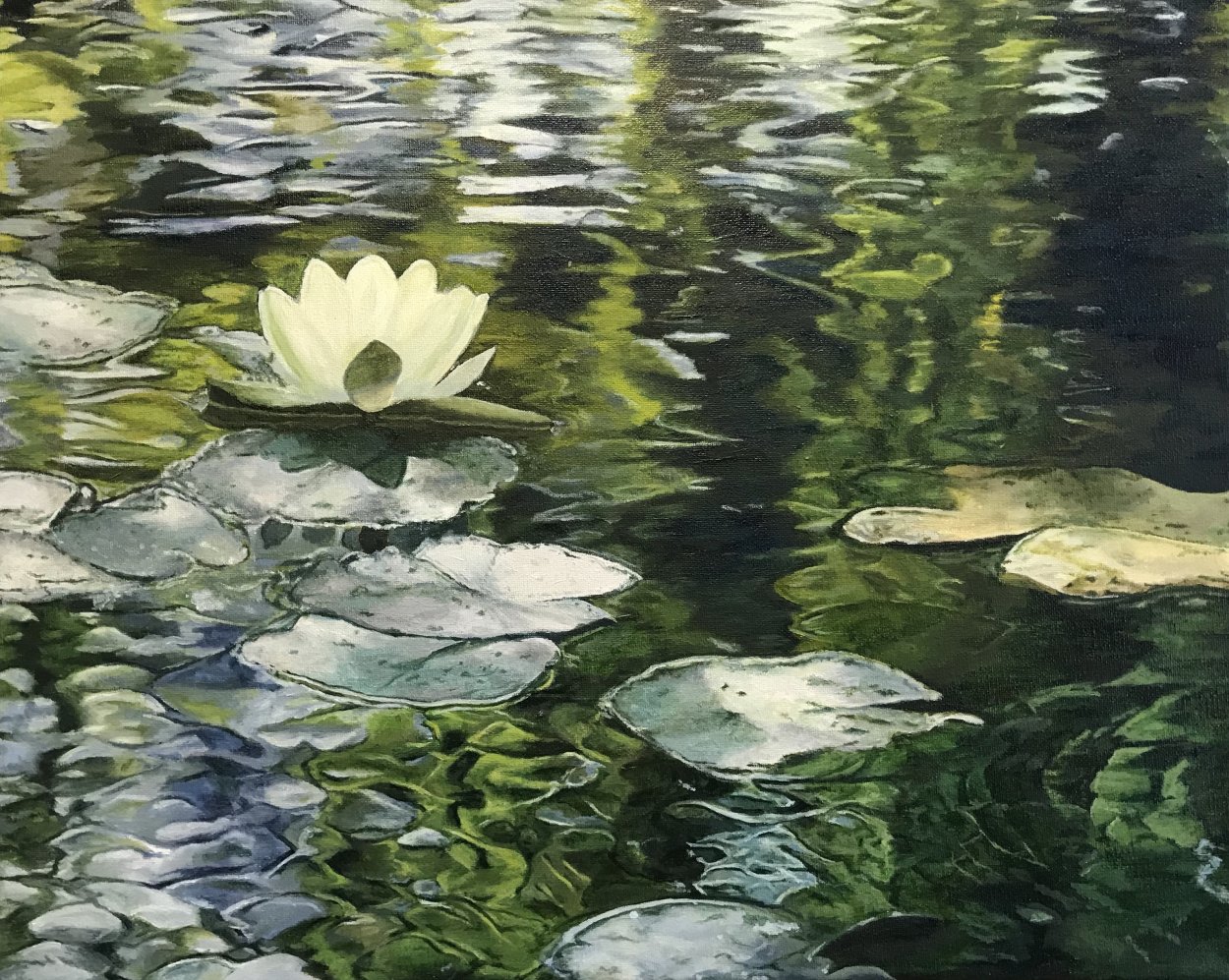 Лотос кувшинка