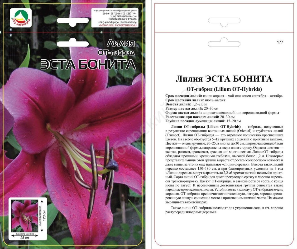 Лилия Притти Вумен