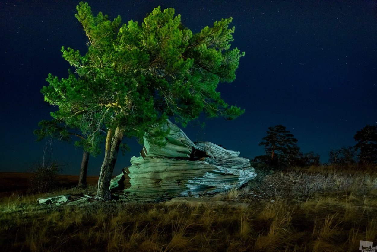 Камень Алеутас Оренбургская область
