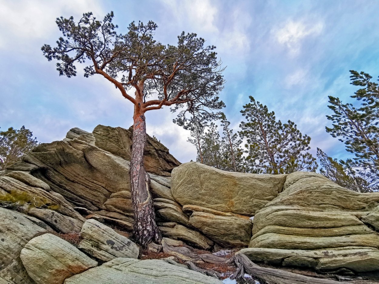 Карагайский Бор Губерлинское ущелье