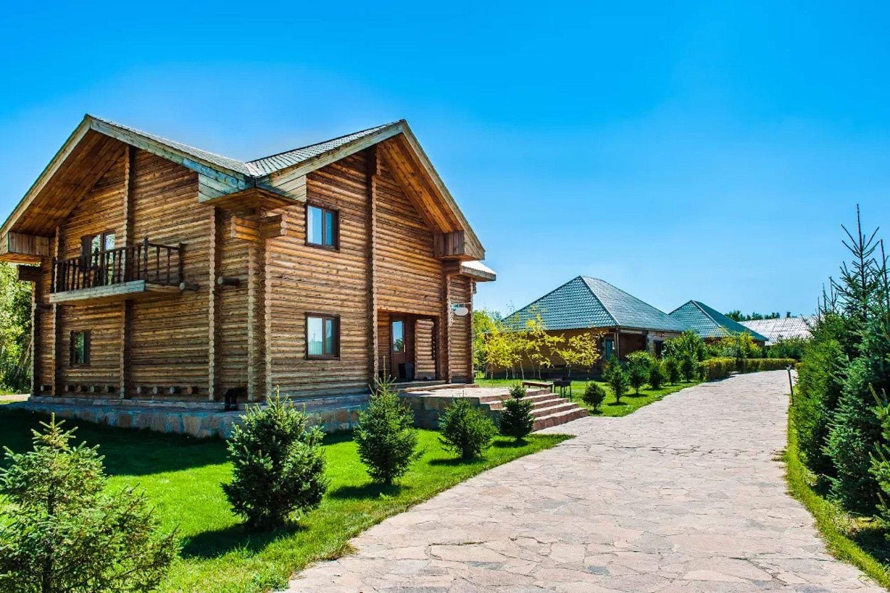 Осина обыкновенная (Populus tremula)