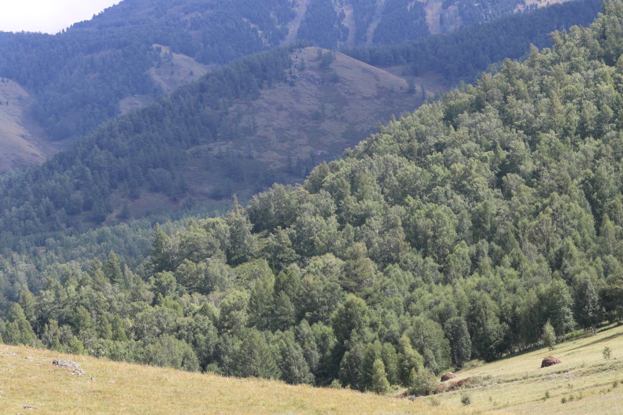 Карагай Казахстан ЗИП лайн