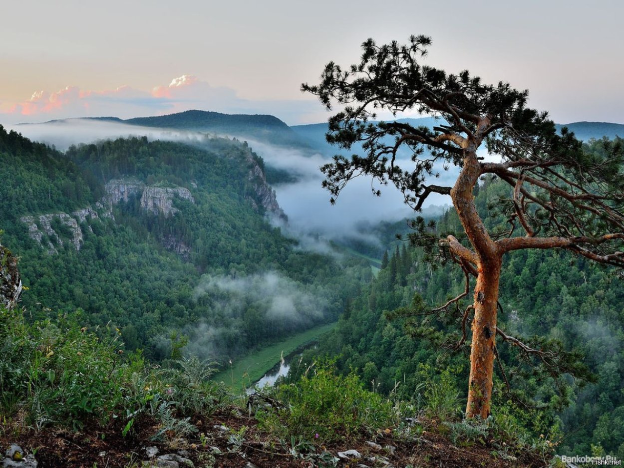 Куперля Нугуш вид на реку