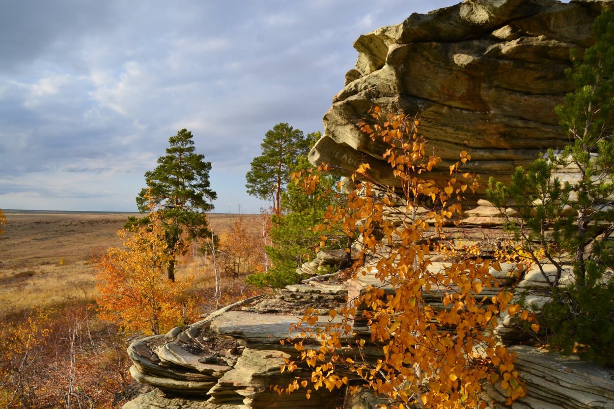 Раскидистая крона дуб