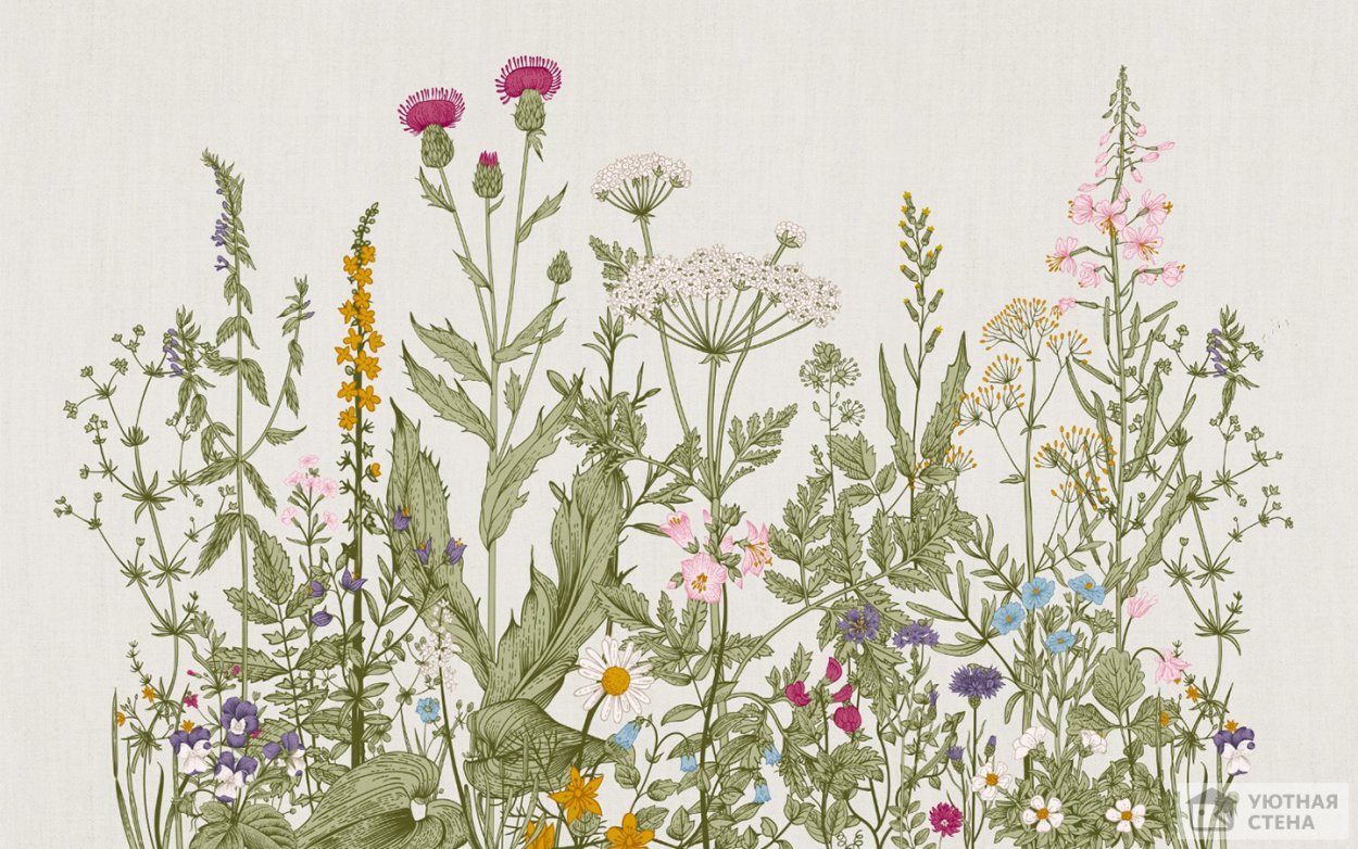 Кэти Моньер. ,,луговые травы"