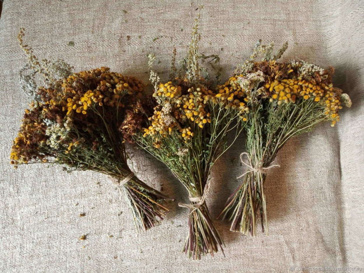 Сухоцветы Элитупак зверобой